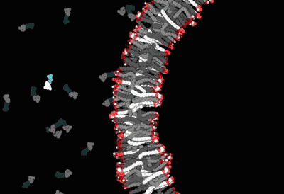 biomolecular biomolecular