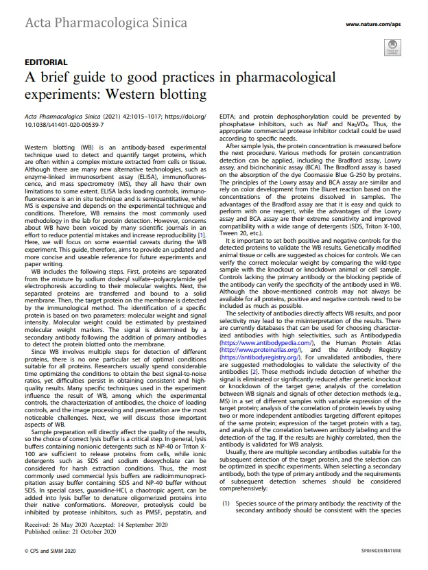 A brief guide to good practices in pharmacological experiments: Western blotting