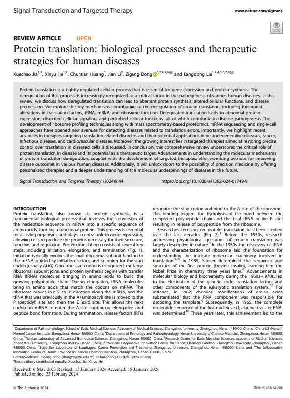 Protein translation: biological processes and therapeutic strategies for human diseases