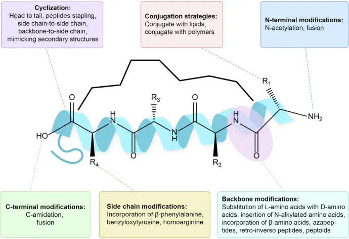 Advance in peptide-based drug development: delivery platforms, therapeutics  and vaccines |