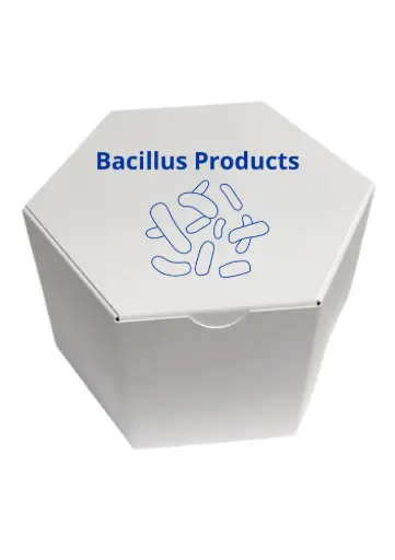 [BAC-1 ml-17] Bacillus sp.