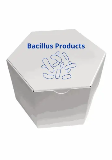 [BAC-1000 Kg-252] Bacillus firmus